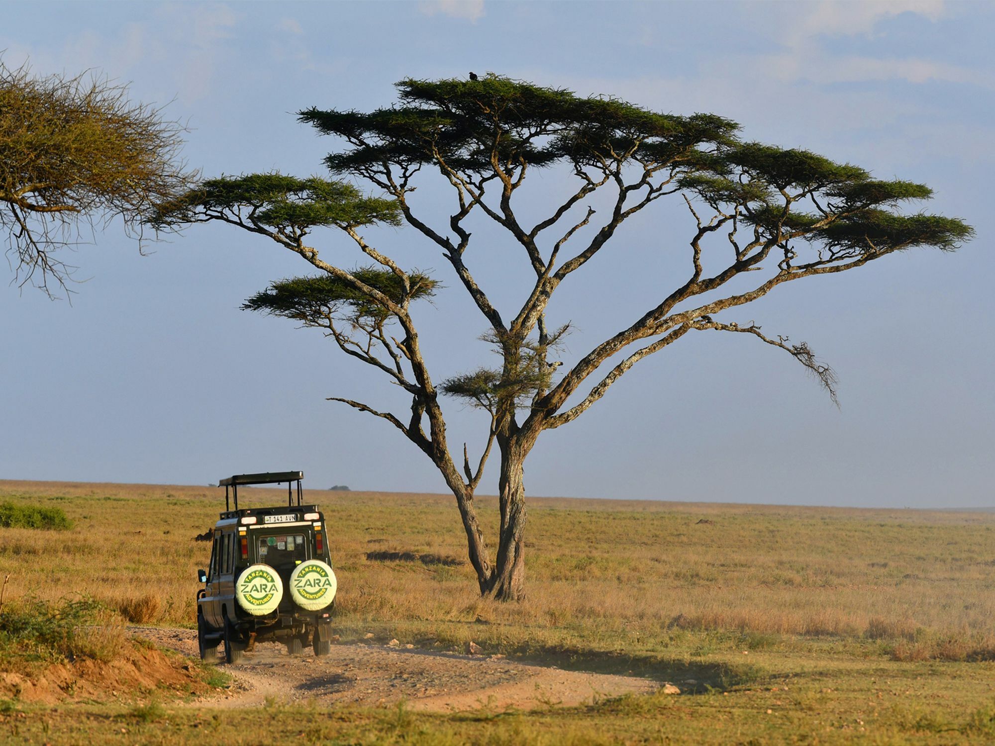 Serengeti Safari Lodge Zewnętrze zdjęcie